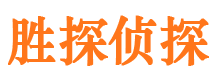 河东区市调查公司